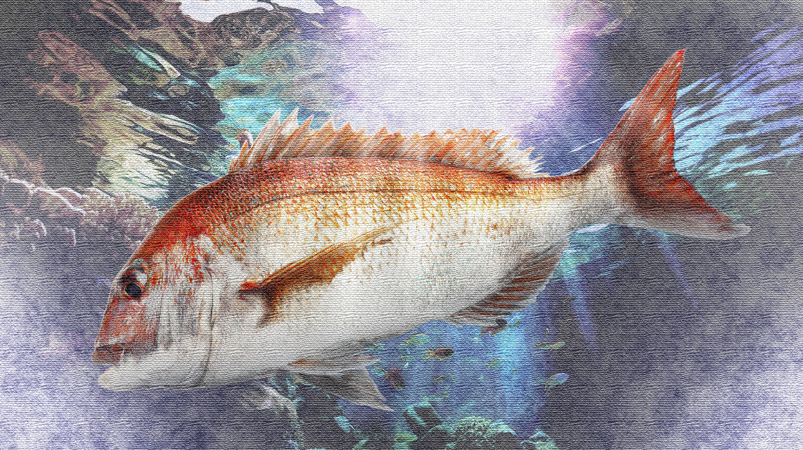 deepsea-鯛